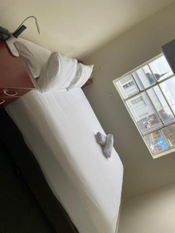 Knickerbocker Hotel Bathurst Zewnętrze zdjęcie